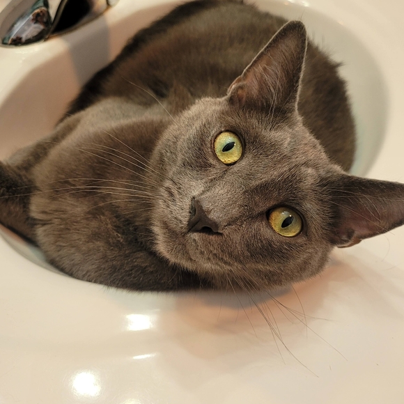 Meet your Posher, Christina - Picture 5 of 10